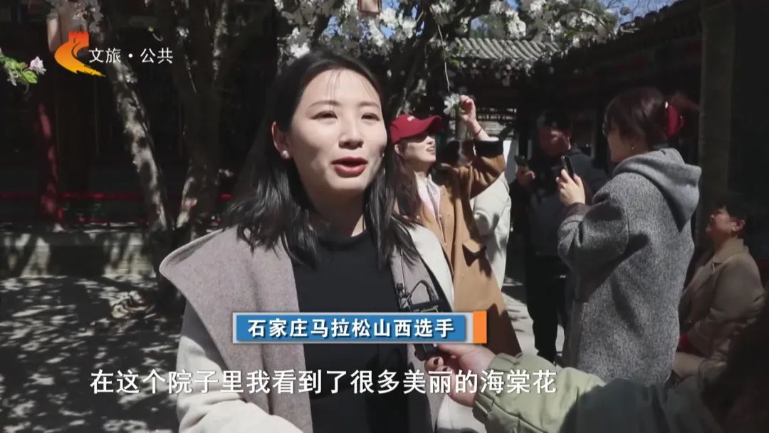 体球网即时比分