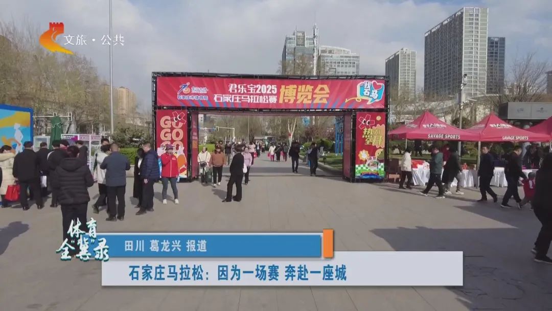 体球网即时比分